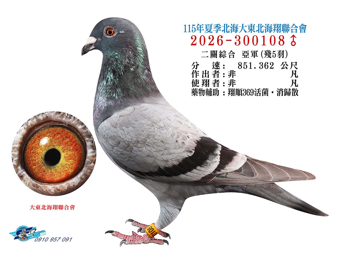 大東北亞軍108