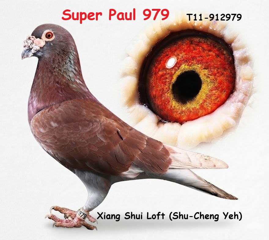超級保羅Super Paul