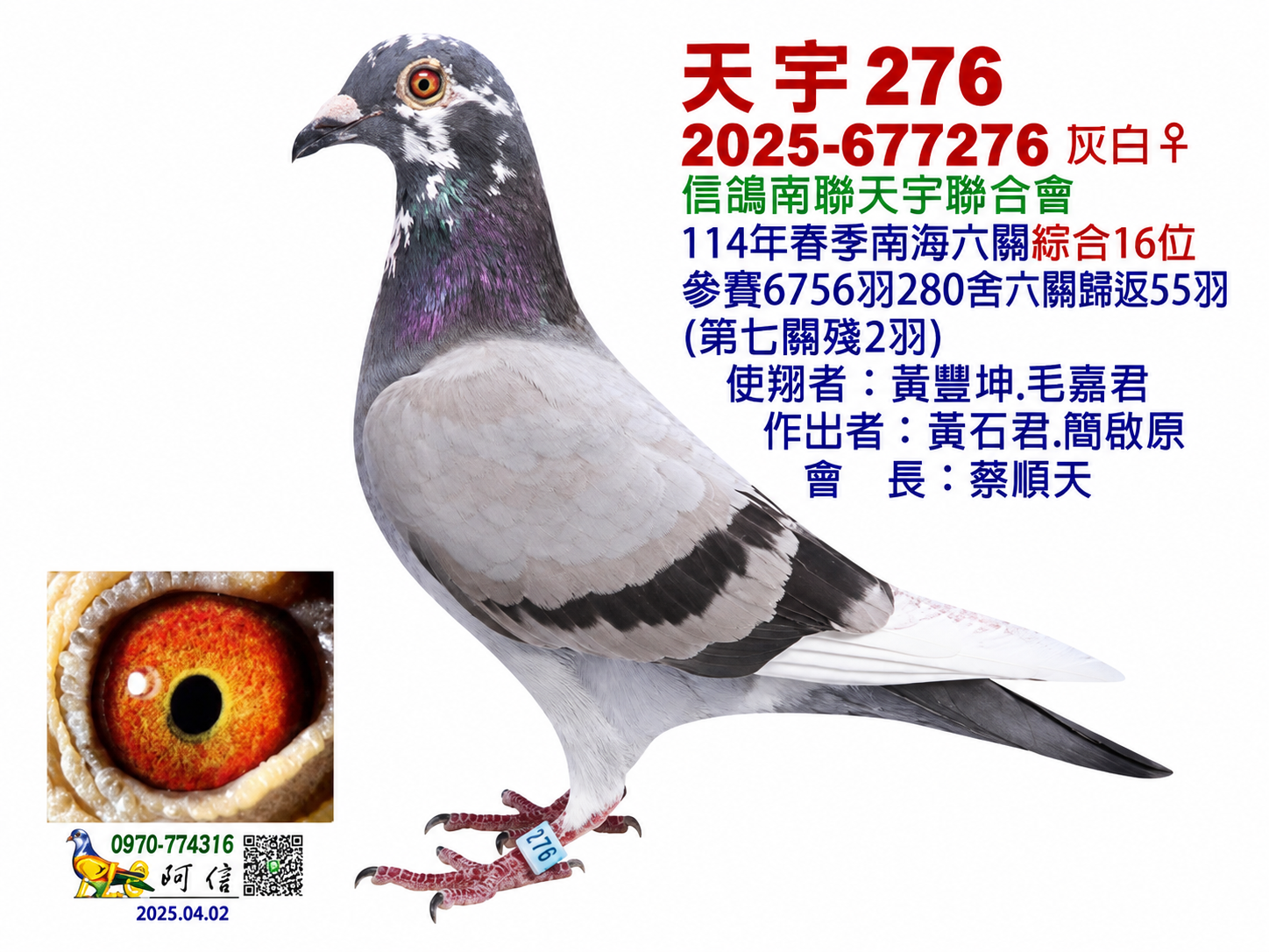 天宇276(六關綜合16位)