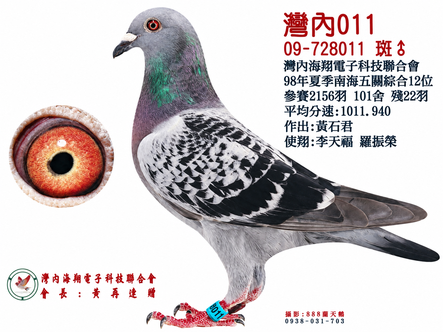 灣內011(五關綜合12位)