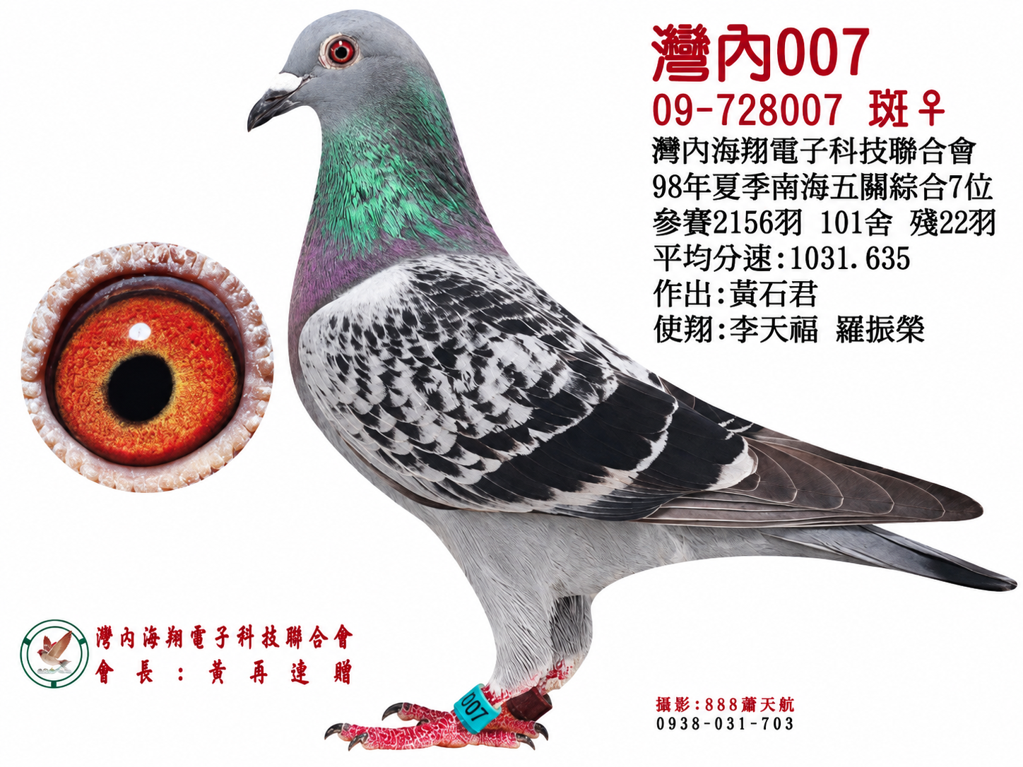 灣內007(五關綜合7位)