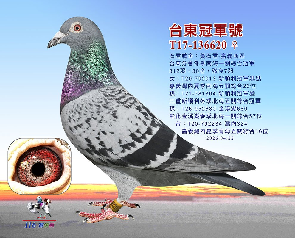 台東冠軍620(一關綜合冠軍)
