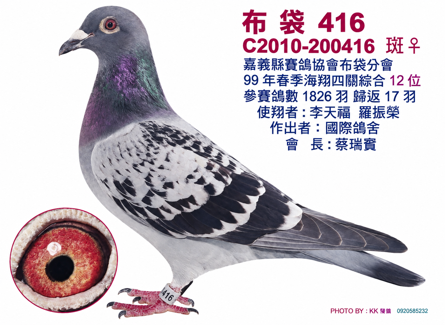 布袋416(四關綜合12位)