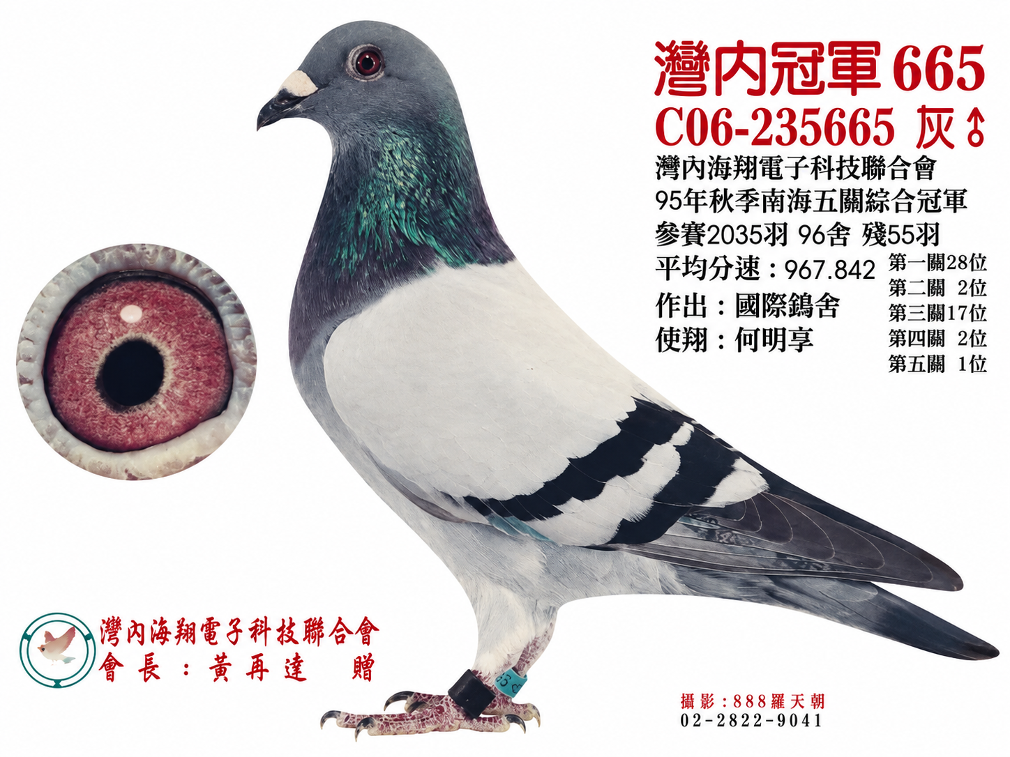 灣內冠軍665(五關綜合冠軍)