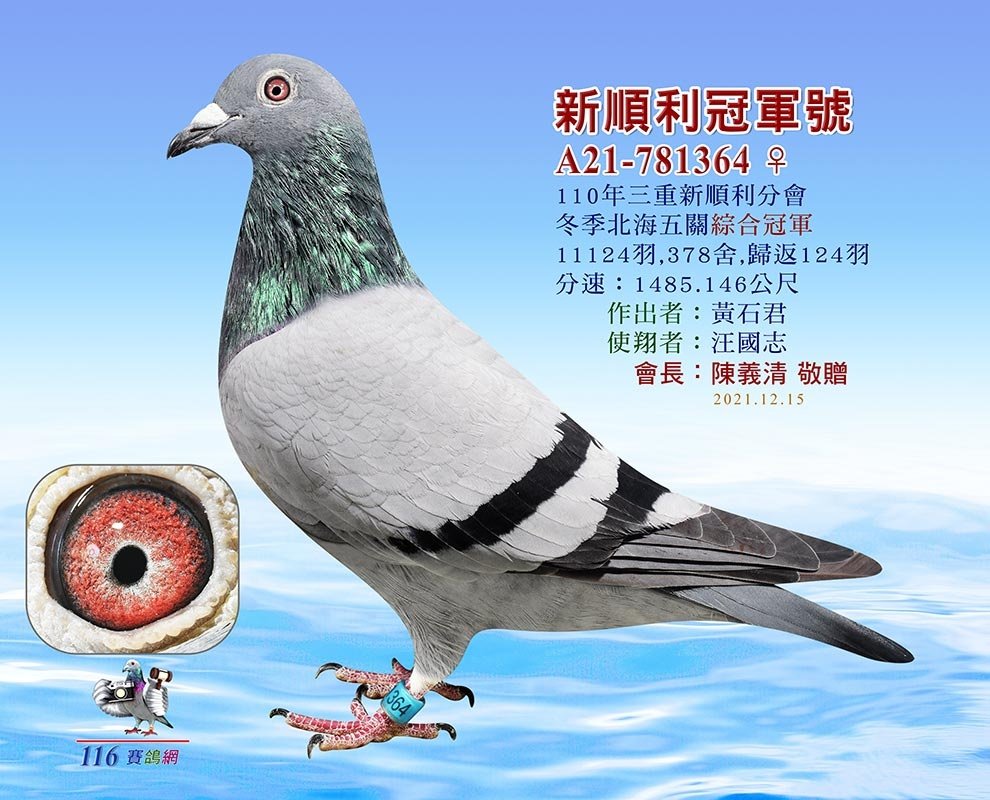 新順利冠軍364(五關綜合冠軍)