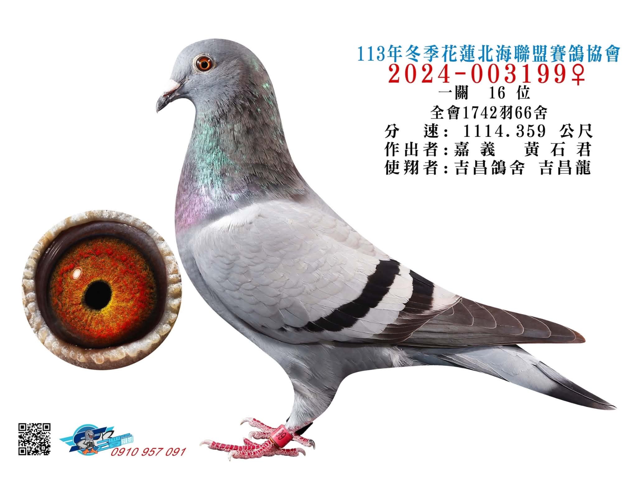 花蓮199(一關綜合16位)
